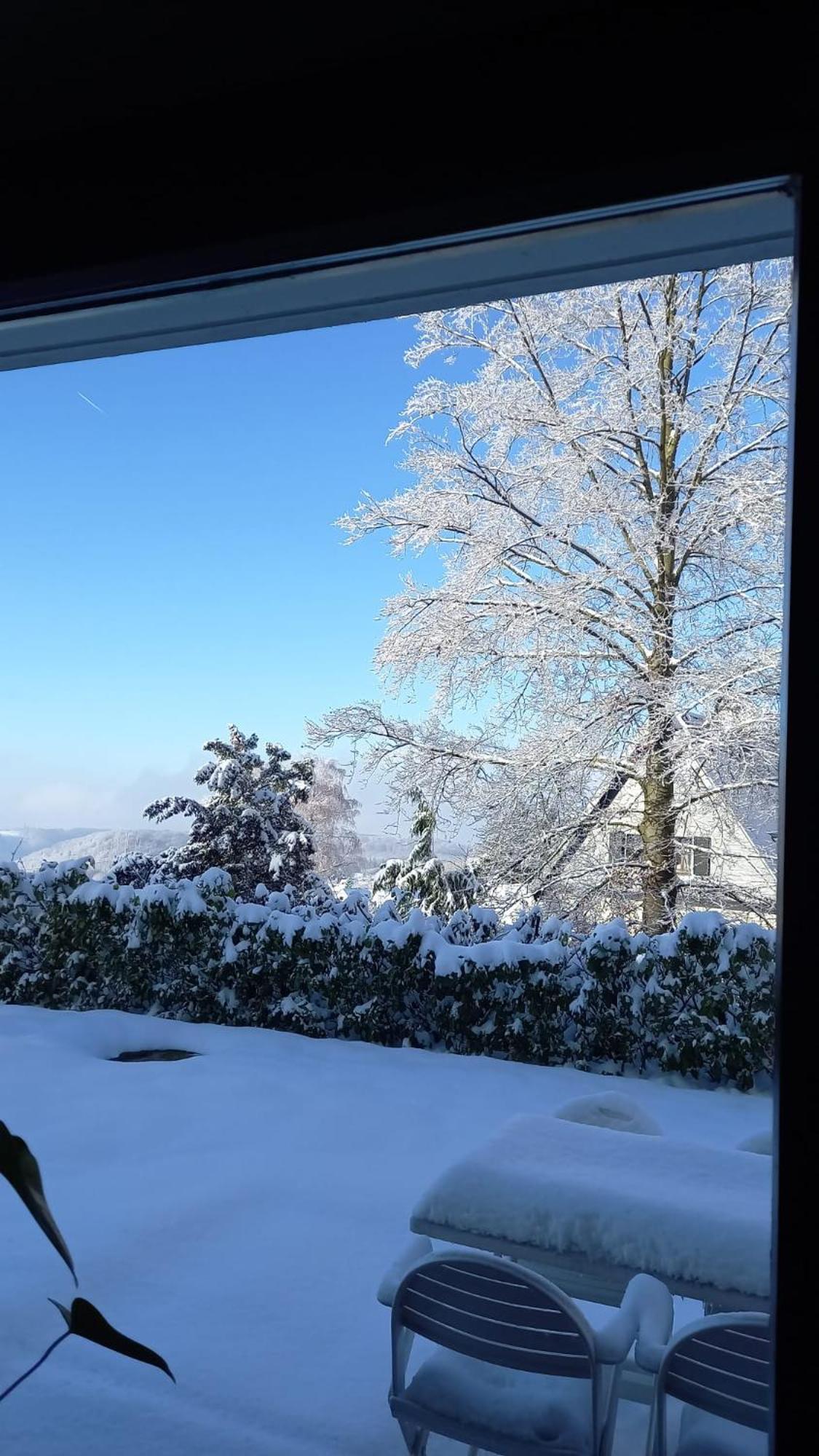 Haus Am Wald Apartment Hillscheid Exterior photo